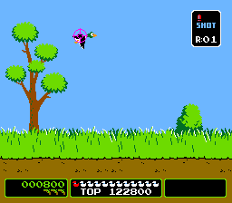 Duck hunt nes deals online