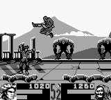 Play Shaq Fu (USA)