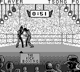 Play Game Boy Kick Boxing, The (Japan) Online in your browser
