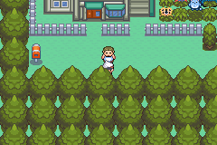 Play Game Boy Advance Pokemon Emerald Randomizer Unbeatable Red Online in  your browser 