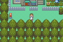 Jogue Pokémon: Emerald Extreme Randomizer, um jogo de Pokémon