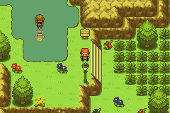 Play Game Advance Pokemon Fire Red (v3.2) Online in your browser -