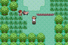 Play Pokemon Emerald's Eight v1.5 online