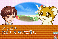 Play Game Boy Advance Hamster Monogatari Collection (J)(Rising Sun) Online in your browser