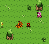 Play Game Boy Color Bouken! Dondoko Shima (Japan) Online in your browser
