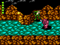 Play Game Gear Battletoads (Europe) Online in your browser