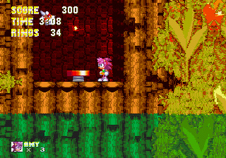 Play Genesis Amy Rose in Sonic the Hedgehog Online in your browser 