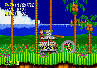 Mighty the Armadillo in Sonic the Hedgehog Sega Genesis Game