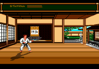 Play Genesis Budokan - The Martial Spirit (Europe) Online in your browser