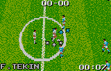 Play Atari Lynx European Soccer Challenge (USA, Europe) Online in your browser