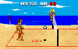 Play Atari Lynx Malibu Bikini Volleyball (USA, Europe) Online in your browser