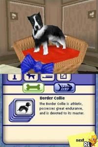 Play Sims 2, The - Pets (Europe) (En,Fr,De,Es,It,Nl) online