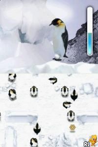 Play Nintendo DS March of the Penguins (USA) Online in your browser