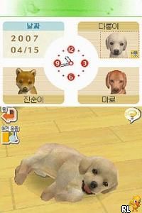 Play Nintendogs - Labrador & Chingudeul (Korea) online