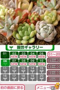 Play Nintendo DS Hana Saku DS Gardening Life (Japan) Online in your browser