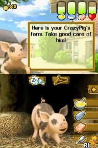 Play Crazy Pig (Europe) (En,Fr,De,Es,It,Nl) online