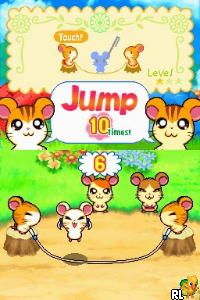 Play Hi! Hamtaro - Ham-Ham Challenge (Europe) (En,Fr,De,Es,It) online