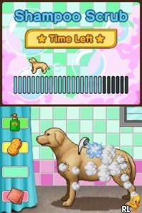 Play Nintendo DS Animal Paradise (USA) (En,Fr,Es) Online in your browser