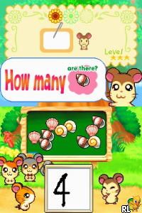 Play Nintendo DS Hi! Hamtaro - Ham-Ham Challenge (USA) Online in your browser