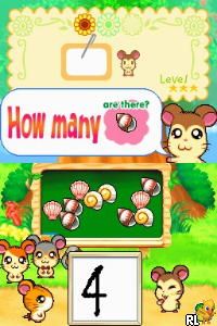 Play Nintendo DS Hi! Hamtaro - Ham-Ham Challenge (USA) Online in