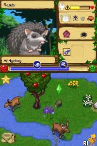 Play Nintendo DS SimAnimals (USA) Online in your - RetroGames.cc