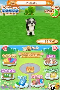 Play Nintendo DS Machi no Pet-ya-san DS 2 - Wannyan 333-hiki Daishuugou!  (Japan) Online in your browser 