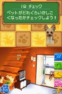 Play Unou Ikusei - IQ Breeder - Pet to Nakayoku IQ Lesson (Japan)