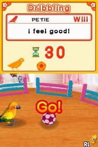 Play Discovery Kids - Parrot Pals (USA) (En,Fr,Es)