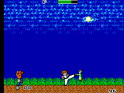 Play SEGA Master System Kung Fu Kid (USA, Europe) Online in your 
