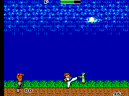 Play Kung Fu Kid (USA, Europe)