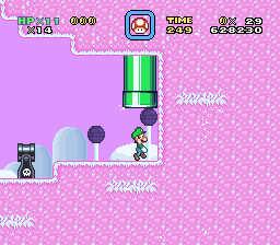 Play SNES Luigi and the Final Year by karen13505 Online in your browser