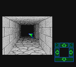 Play SNES Dungeon Master (Europe) Online in your browser