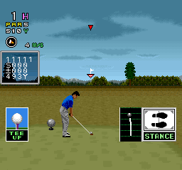 Play Serizawa Nobuo no Birdie Try (Japan) online