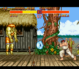 Street Fighter II: The World Warrior