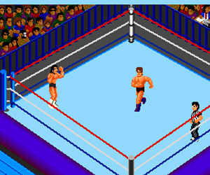 Play Fire Pro Wrestling 2 - 2nd Bout (Japan) online